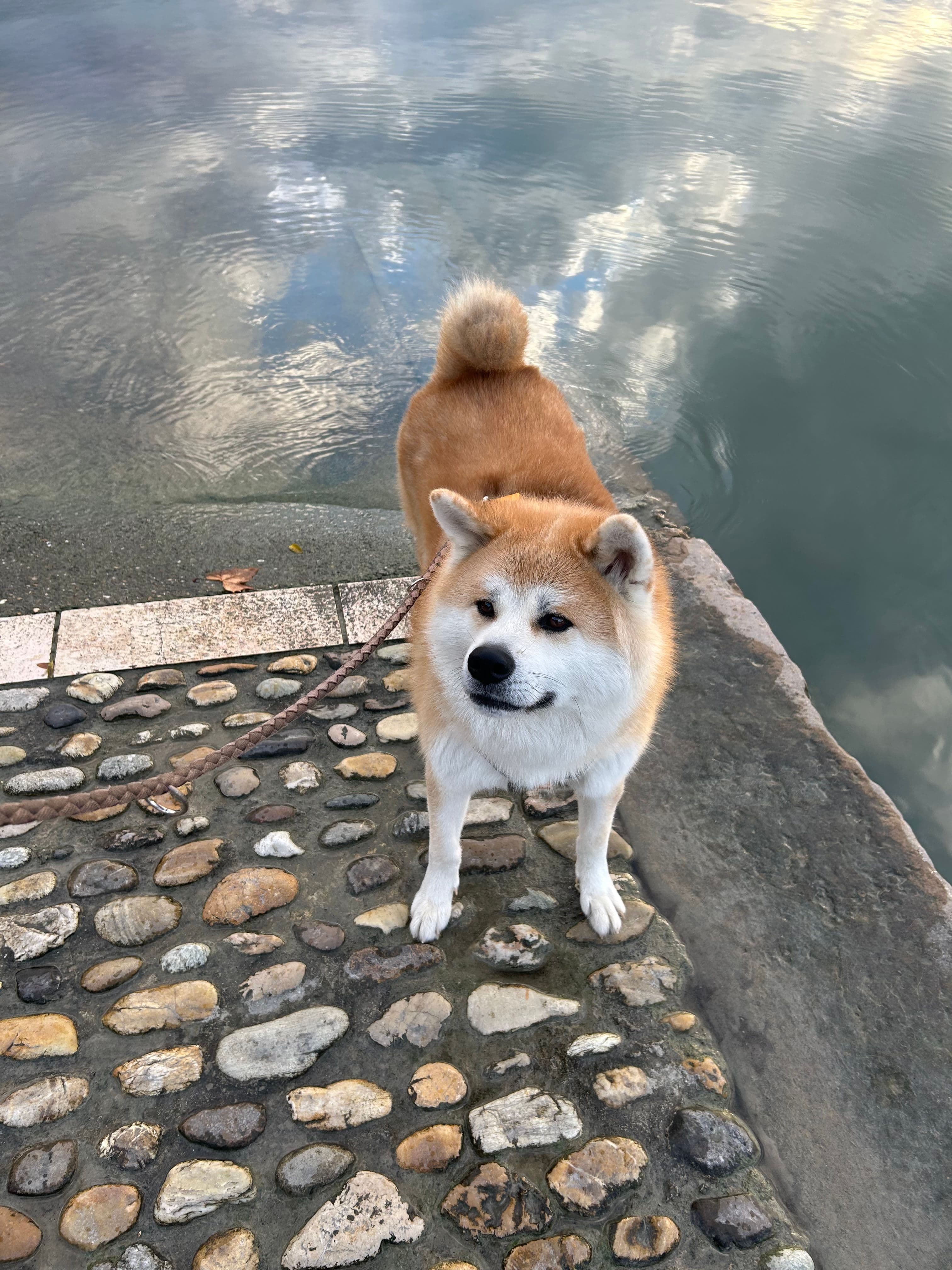 Tao devant de l'eau